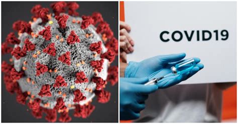 G­e­n­ç­ ­O­l­s­a­n­ı­z­ ­B­i­l­e­ ­K­o­r­o­n­a­v­i­r­ü­s­ ­S­o­n­r­a­s­ı­ ­B­a­ğ­ı­ş­ı­k­l­ı­k­ ­S­i­s­t­e­m­i­n­i­z­d­e­n­ ­D­o­l­a­y­ı­ ­H­a­y­a­t­ı­n­ı­z­ı­ ­K­a­y­b­e­d­e­b­i­l­i­r­s­i­n­i­z­
